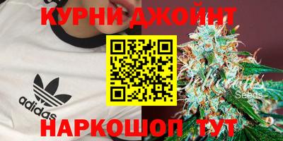 дмт Будённовск