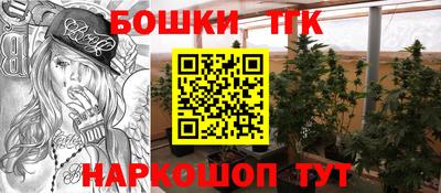 дмт Будённовск
