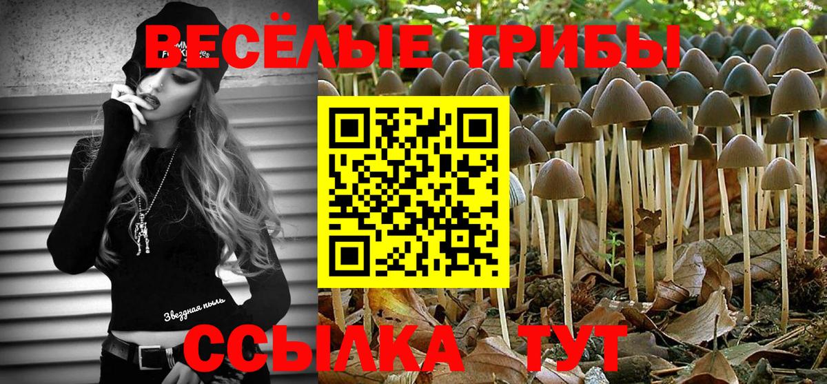 Ялта  Псилоцибиновые грибы мицелий  Вход с VPN 