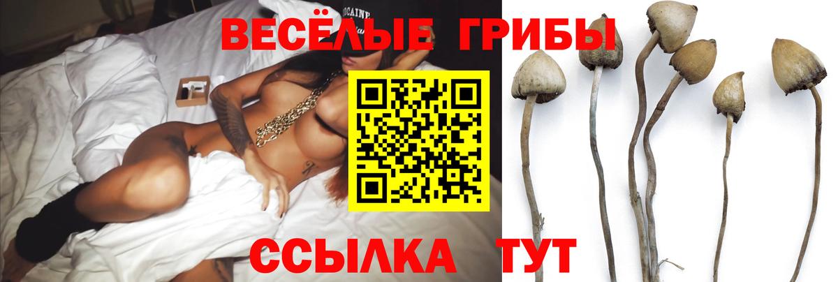 Галлюциногенные грибы GOLDEN TEACHER Ялта